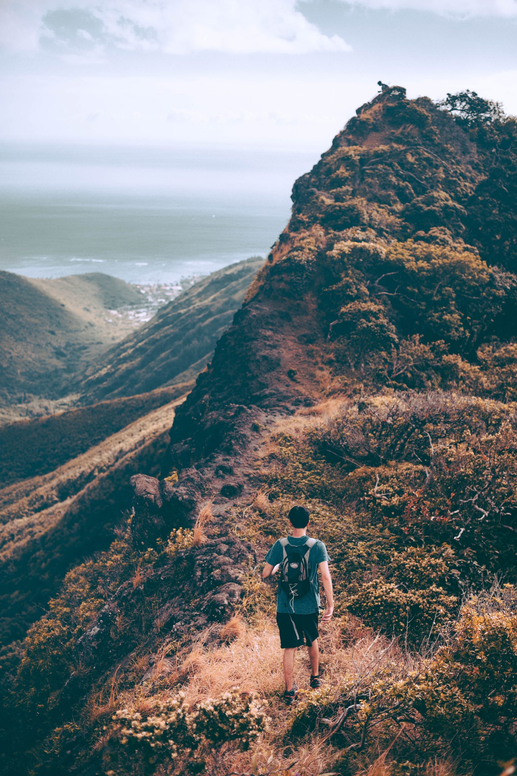 mountain-hawai mountain-hawai