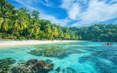 Discover Tropical Destinations and Adventures for Your Next Vacation