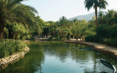 Discover agadir: exploring its famous crocodile park