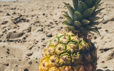 Best Pizza in the World: The Pineapple Pizza