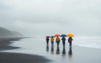 Top Rainy-Day Activities to Enjoy in Mimizan
